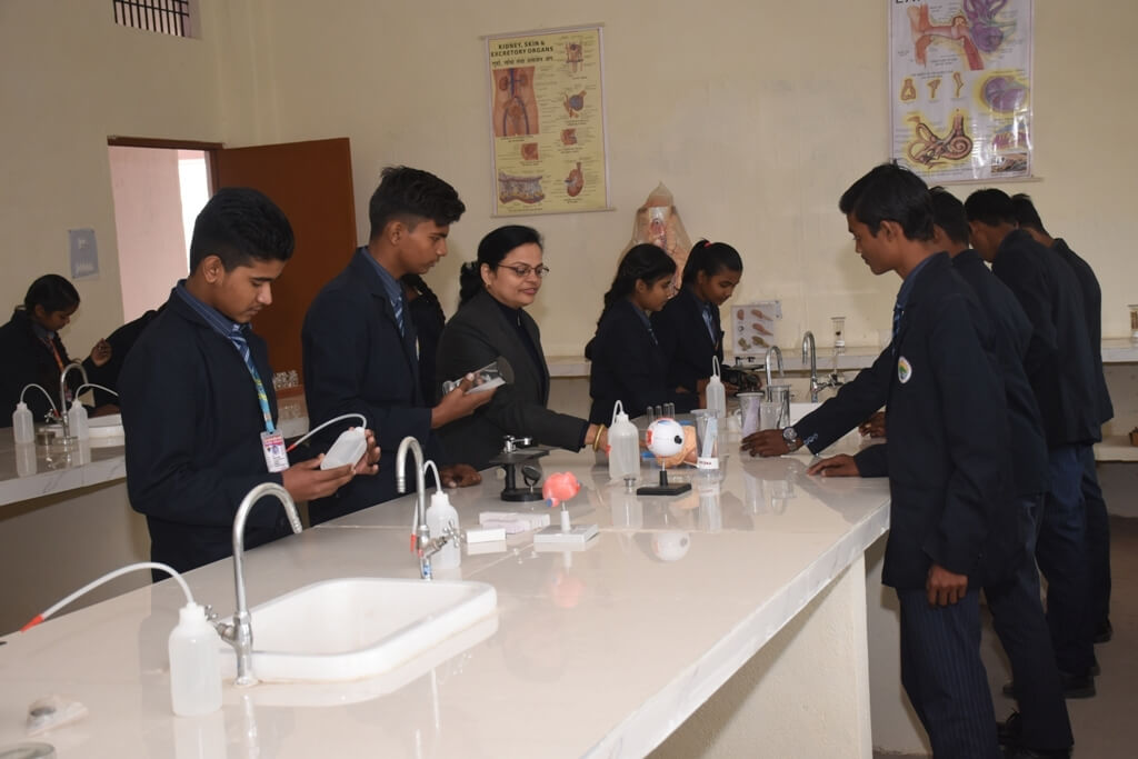Experiments in the laboratory